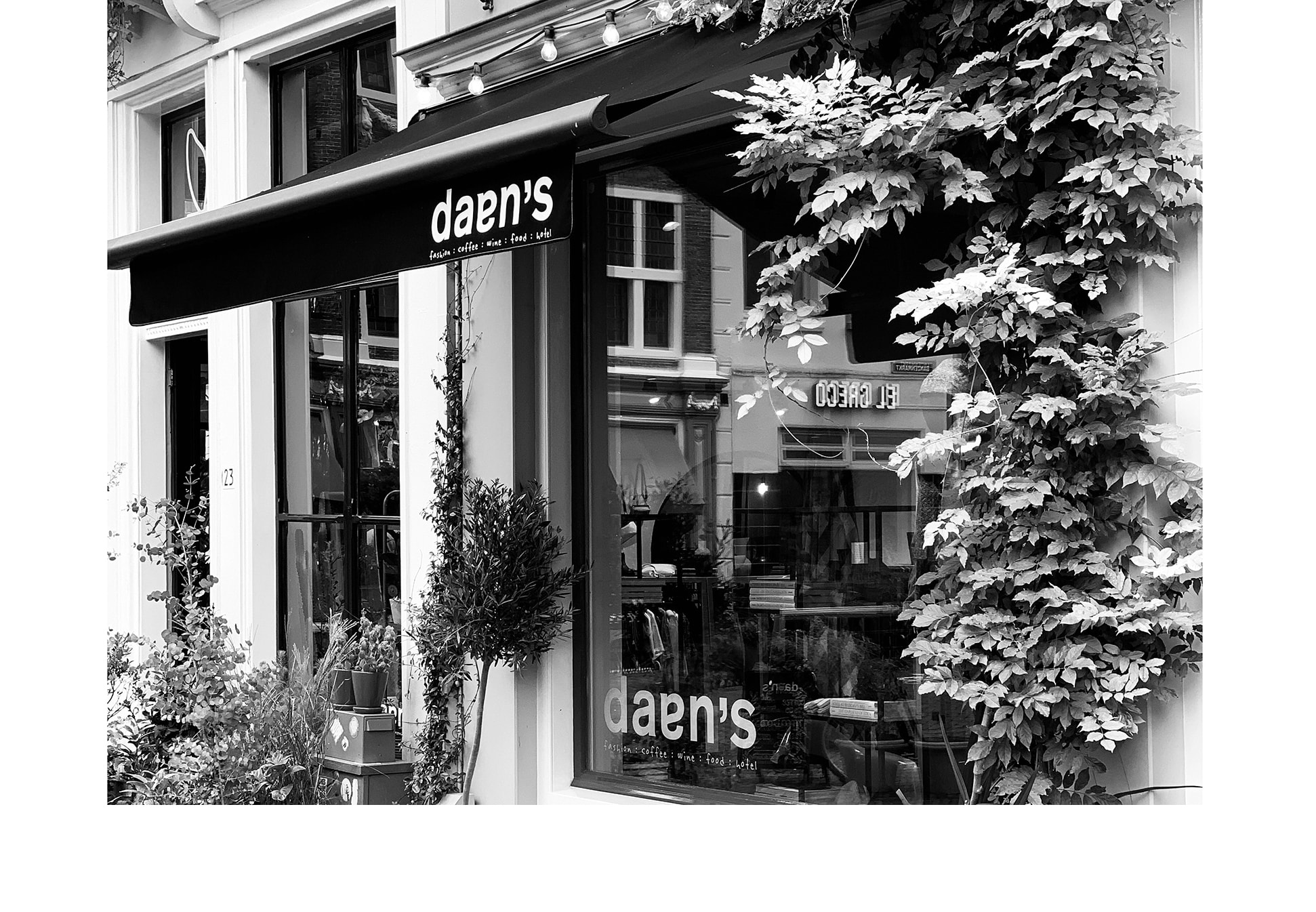 DAANS, STORE, VOORKANT